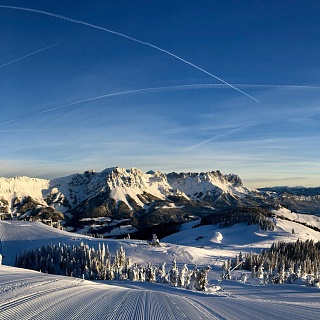 "Austrias Best" 2020-21 onderscheiding ÖGVS