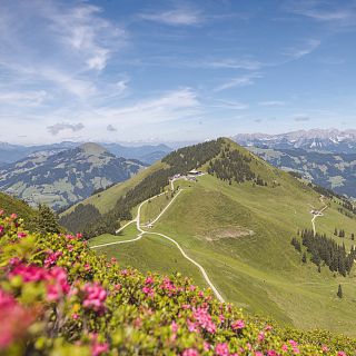 Kaiserblick Runningtrail