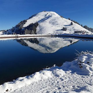 Ecologia e sostenibilità