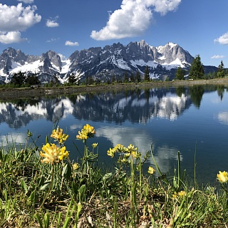 Tour 4 Schwaiglerkogel Runde