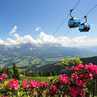 Liftstatus - Sommerbahnen