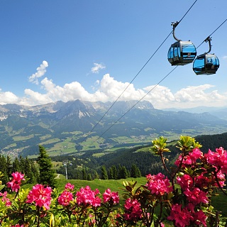 Liftstatus - Sommerbahnen