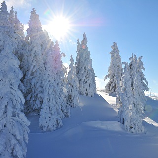 Wow! Such beautiful winter hiking in the mountains.