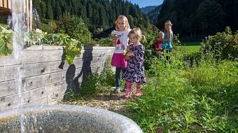 The kitchen garden