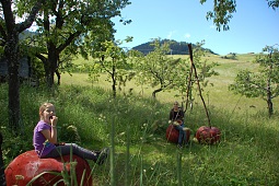 Soffermarsi in un giardino di ciliegi