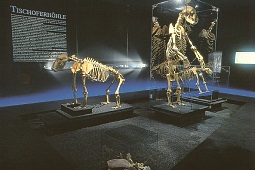 Tiroler local history museum in Kufstein