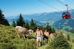 Hiking in beautiful panoramic scenery