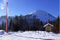 Blick auf die Hohe Salve 