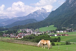 Bad Häring im Sommer